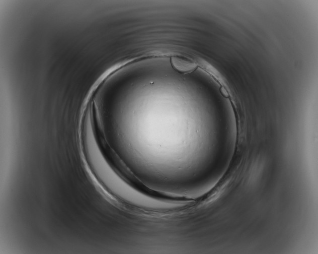 X0000086100803200703301213