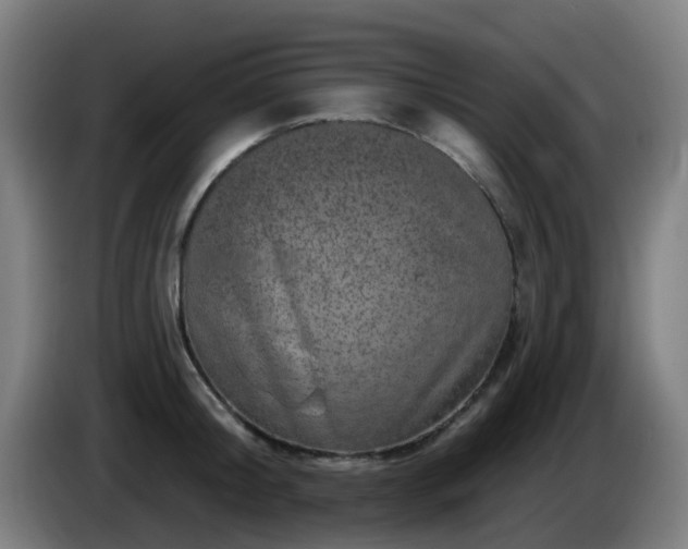 X0000086100804200703301213