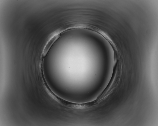 X0000086100805200703301213