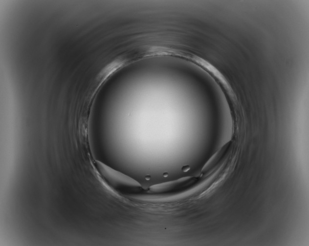 X0000086100809200703301213