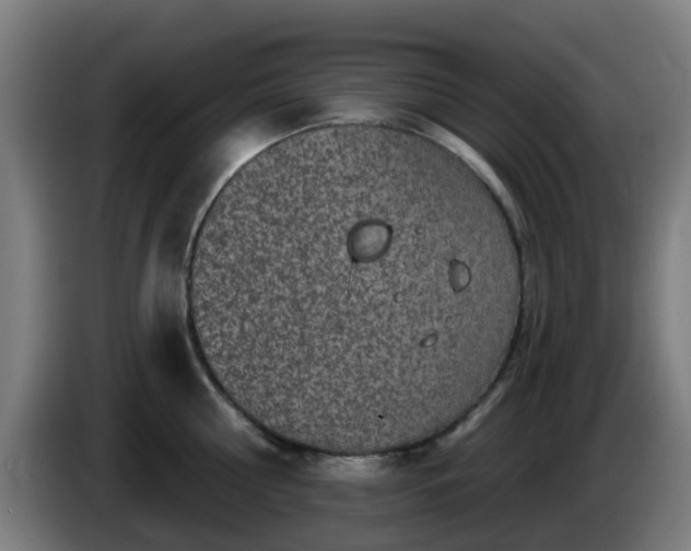 X0000086100810200703301213
