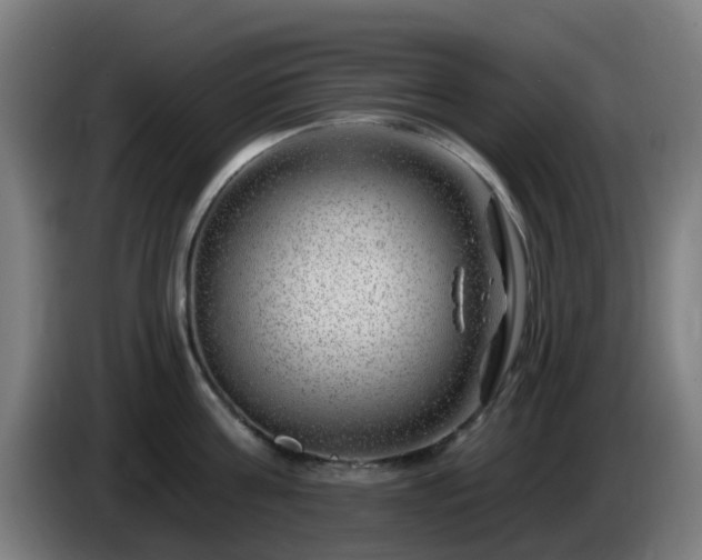 X0000086100811200703301213
