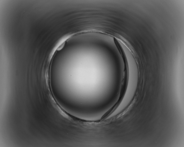 X0000086100812200703301213