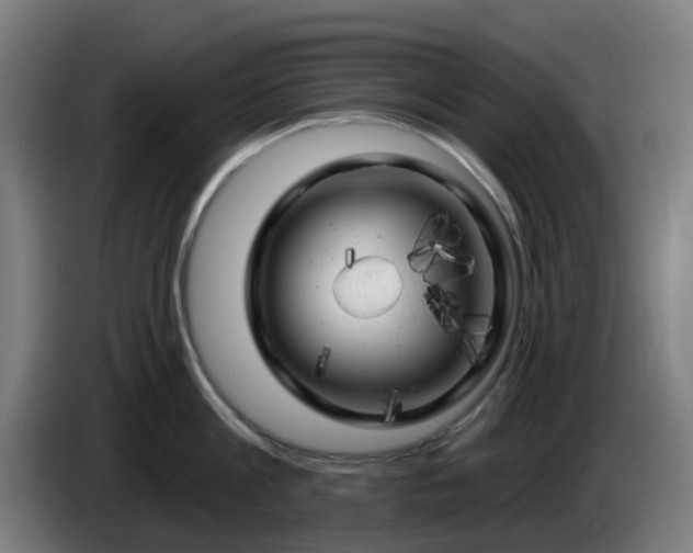 X0000086100813200703301213