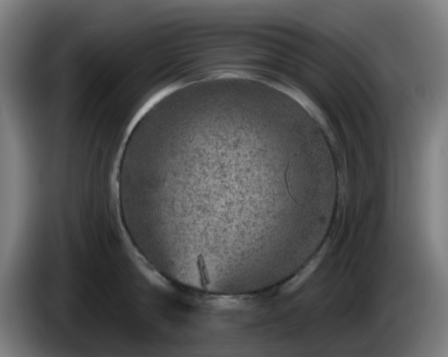 X0000086100814200703301213
