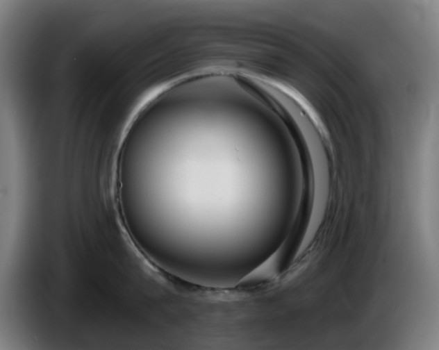 X0000086100815200703301213