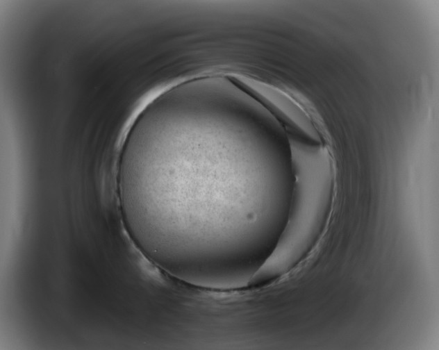 X0000086100816200703301213