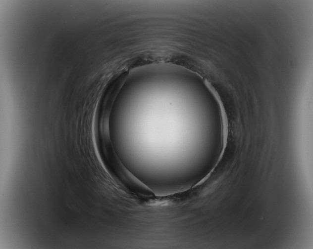 X0000086100818200703301212