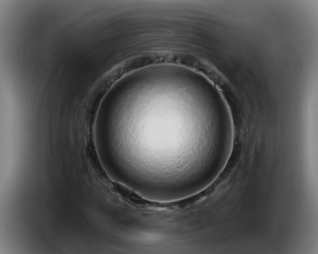 X0000086100821200703301213