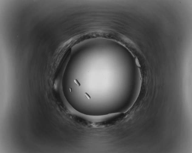 X0000086100822200703301213