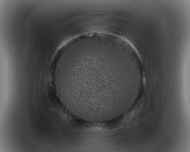 X0000086100823200703301213