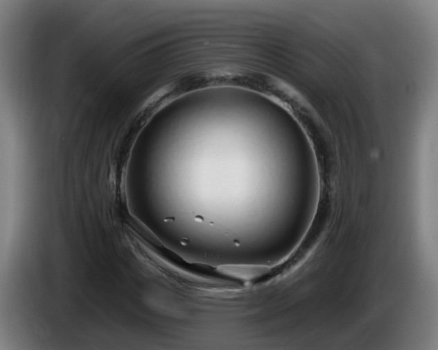 X0000086100825200703301213