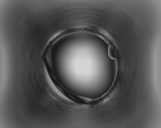 X0000086100826200703301213