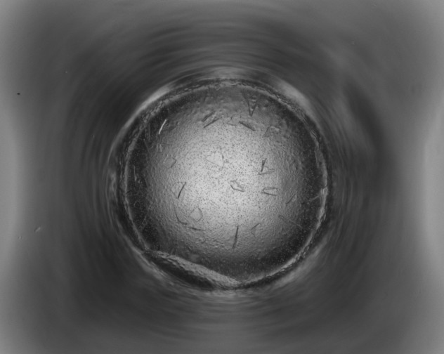 X0000086100827200703301213
