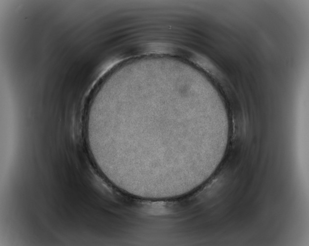 X0000086100828200703301213