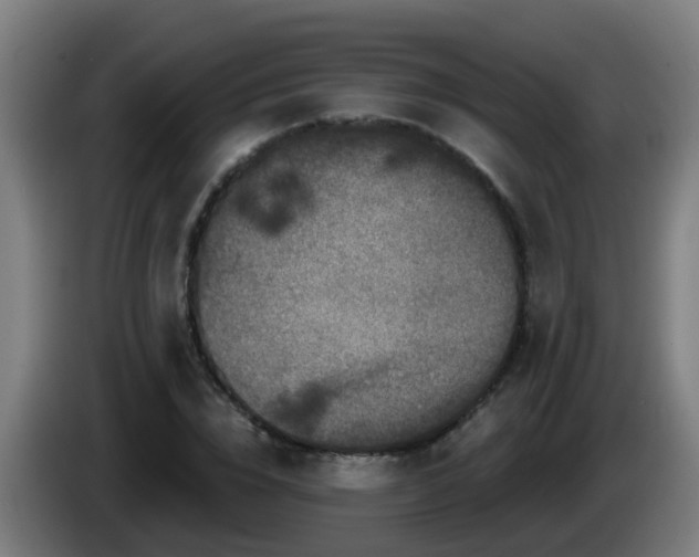 X0000086100832200703301213