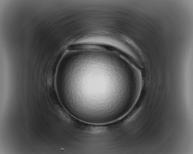 X0000086100833200703301213