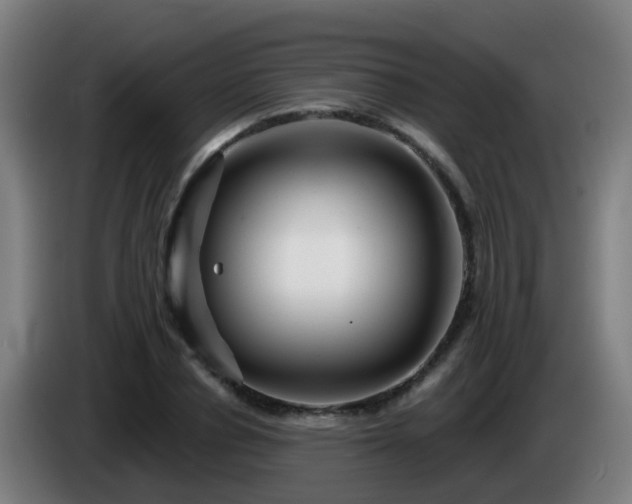 X0000086100834200703301213