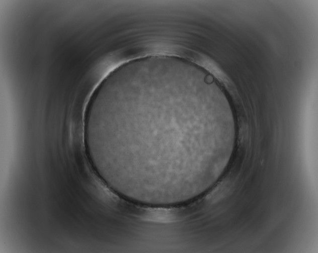 X0000086100836200703301213