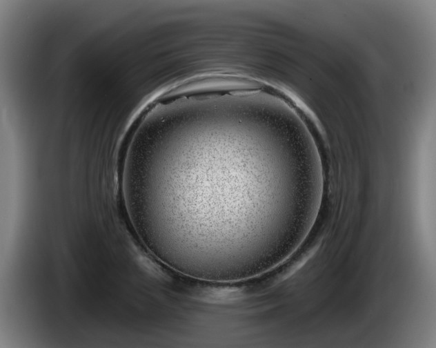 X0000086100837200703301213