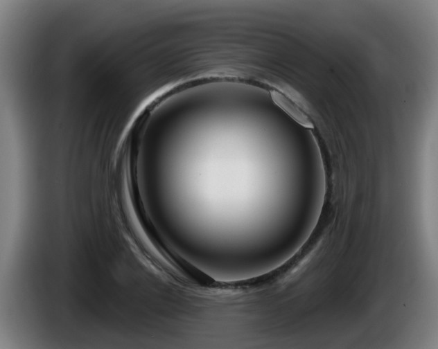 X0000086100838200703301213