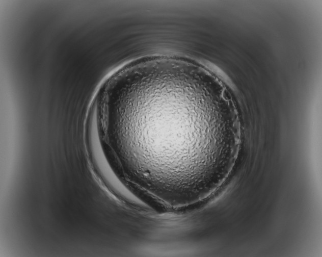 X0000086100839200703301213
