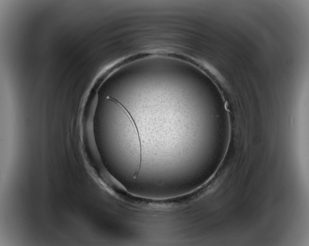 X0000086100840200703301213