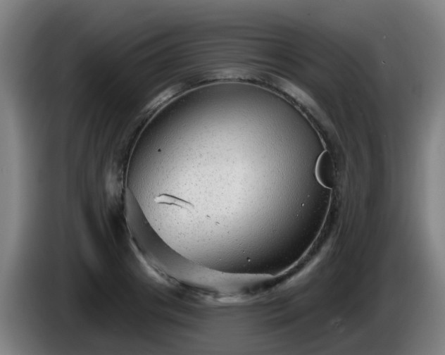 X0000086100841200703301213