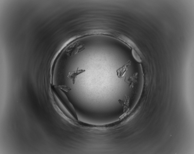 X0000086100844200703301213