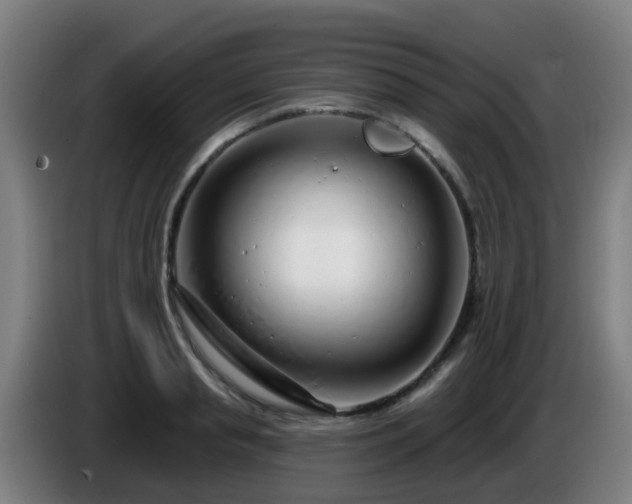 X0000086100845200703301213