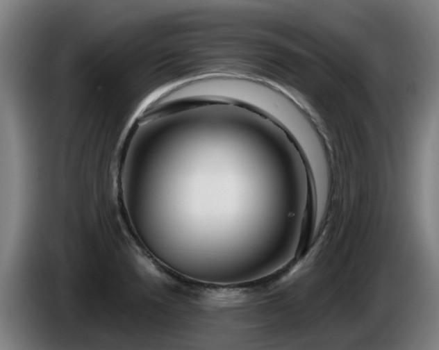 X0000086100846200703301213