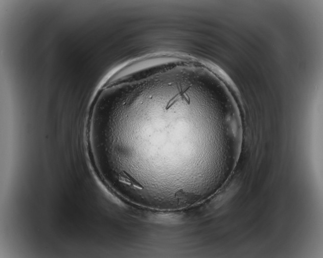 X0000086100847200703301213