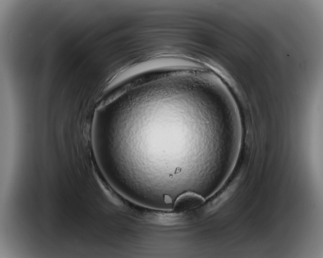 X0000086100849200703301213