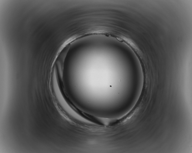 X0000086100850200703301213