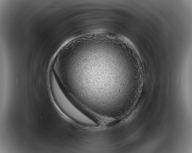 X0000086100851200703301213
