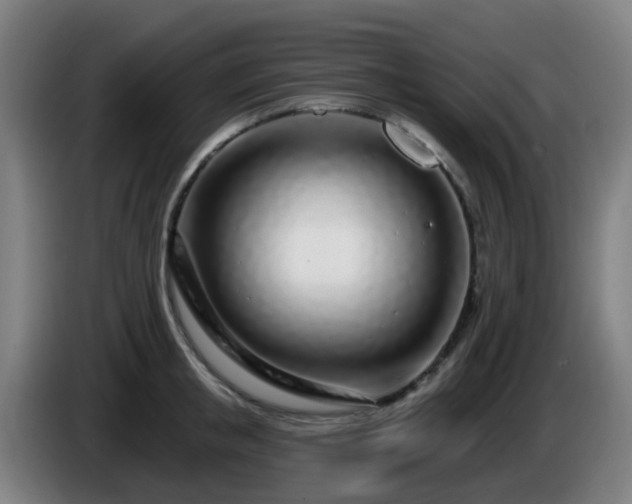 X0000086100853200703301213