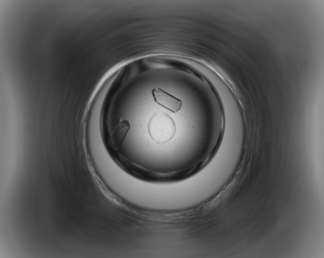 X0000086100854200703301213