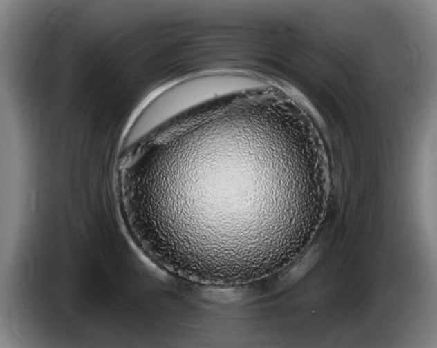 X0000086100855200703301213
