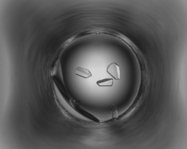 X0000086100857200703301213