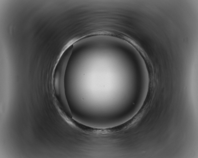 X0000086100858200703301213