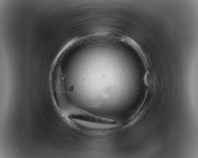 X0000086100859200703301213