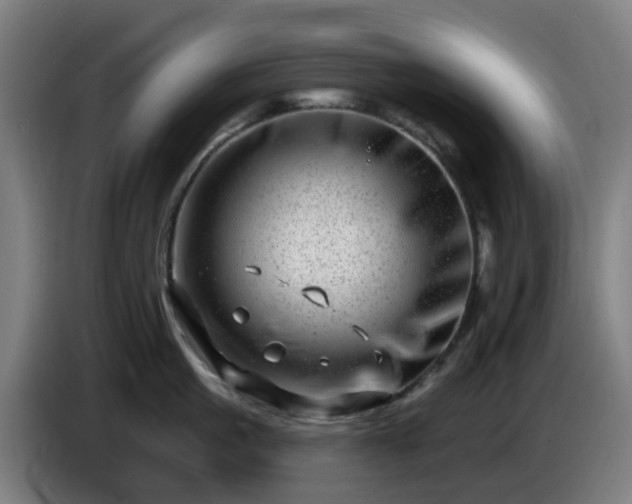 X0000086100861200703301213