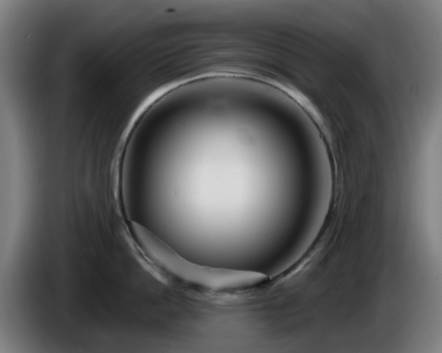 X0000086100862200703301213