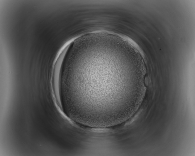 X0000086100863200703301213