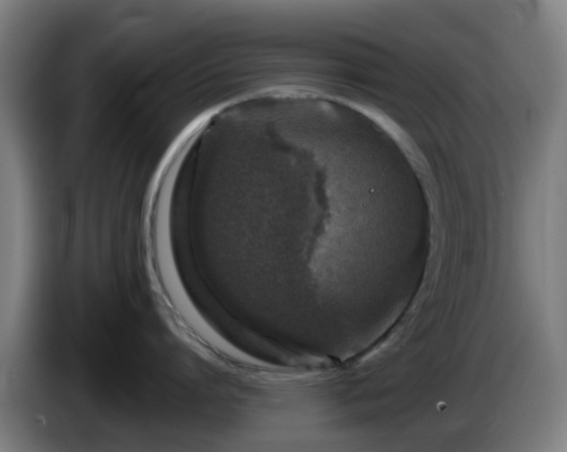 X0000086100864200703301213