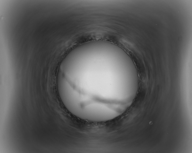 X0000086100865200703301212
