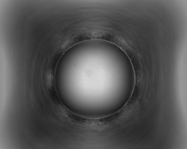 X0000086100866200703301212