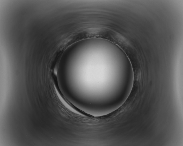 X0000086100868200703301212
