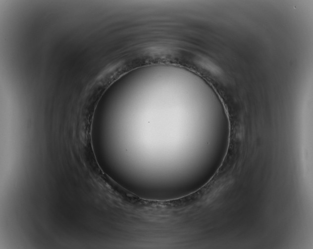 X0000086100869200703301212