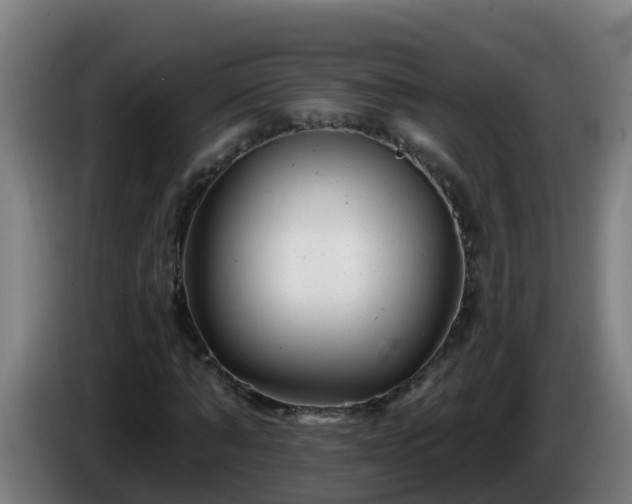 X0000086100870200703301212